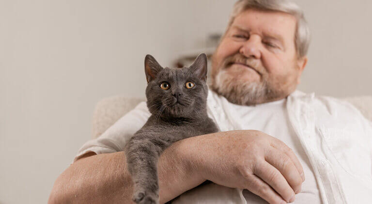 The Pros and Cons of Pet Ownership