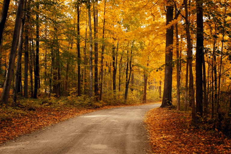 9 Essential Fall Financial Planning Tips