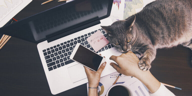 What Qualifies for Home Office Deductions? A Practical Guide